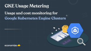 GKE usage metering, Cost monitoring, cloud visibility