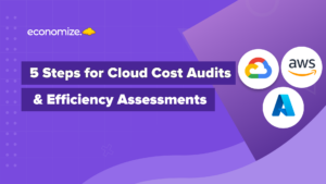 Cloud Cost Audit, Efficiency Assessment, Maturity, FinOps , Cost Monitoring