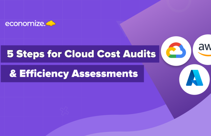 Cloud Cost Audit, Efficiency Assessment, Maturity, FinOps , Cost Monitoring