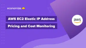 EC2, Elastic IP Address, Elastic IP, Pricing, Cost, Monitoring