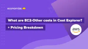 EC2-Other Costs, AWS, Cost Explorer, Pricing, Breakdown, .CSV, Services, Instances