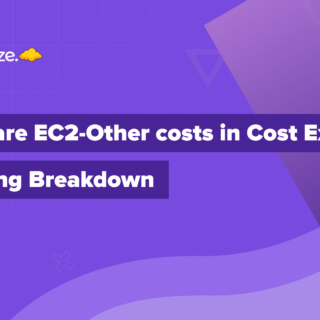 EC2-Other Costs, AWS, Cost Explorer, Pricing, Breakdown, .CSV, Services, Instances
