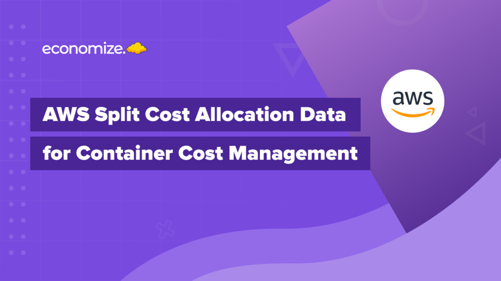 AWS Split Cost Allocation Data for Container Cost Management, Cloud Cost Management, Cloud Cost Optimization